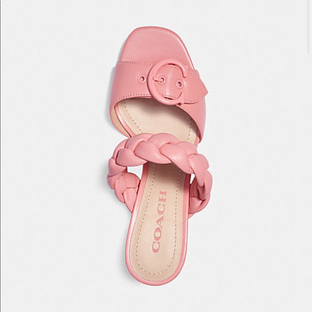 Coach Mollie Sandal in Taffy - Picture 3 of 5